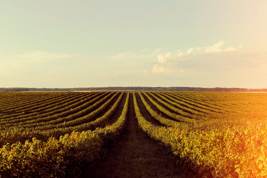 Agricoltura