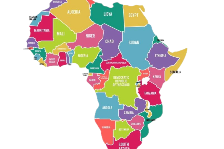 Articolo 1 - Africa tra luci e ombre