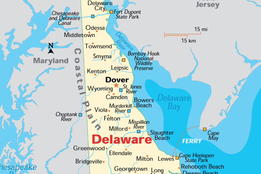 Articolo 1 - Delaware paradiso fiscale USA