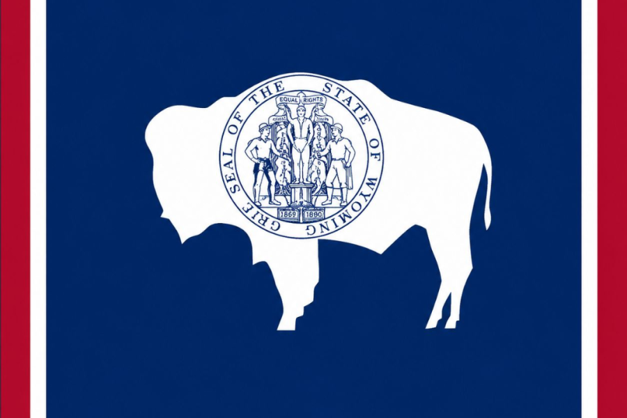 Articolo 1 - Wyoming