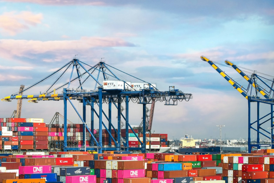 Articolo 2 - California