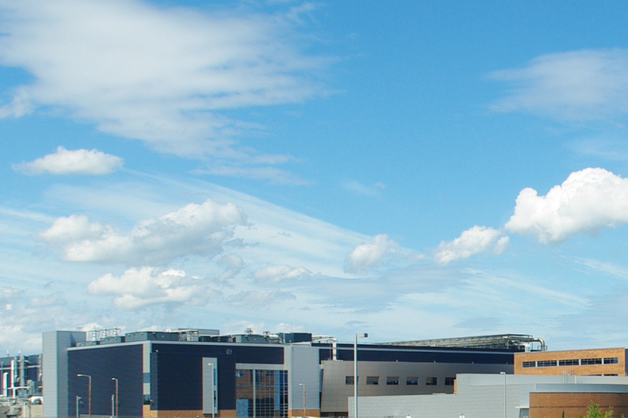 Articolo 3 - Silicon Forest