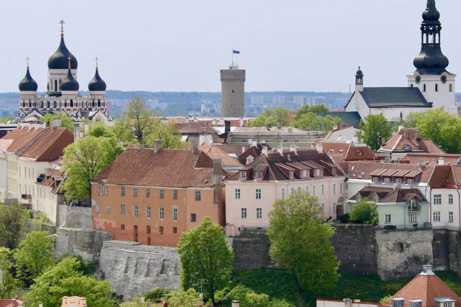 Articolo 4 - Estonia